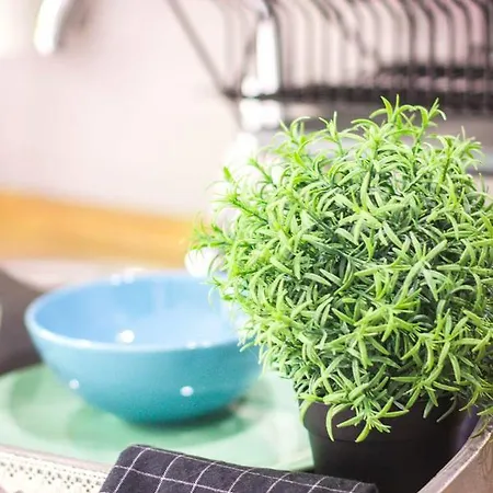 Premium Blanka Poronin