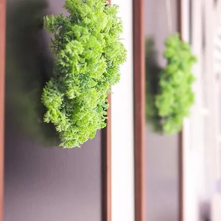 Apartament Premium Blanka Poronin