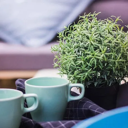 Appartement Premium Blanka *