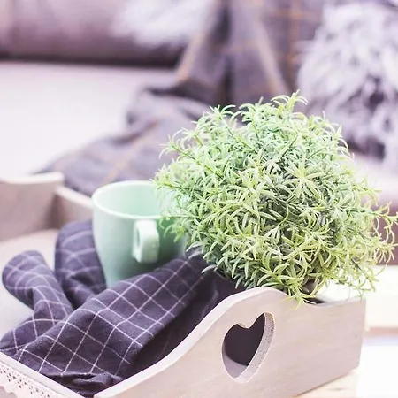 Appartement Premium Blanka Poronin