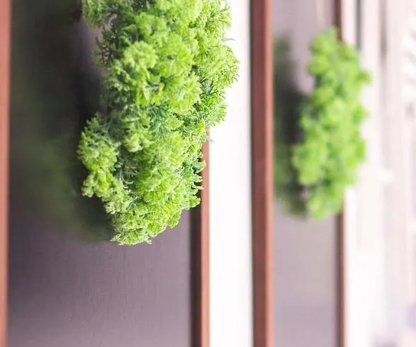 Appartement Premium Blanka Poronin