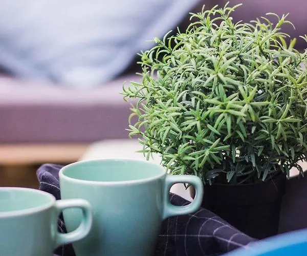 Appartement Premium Blanka *