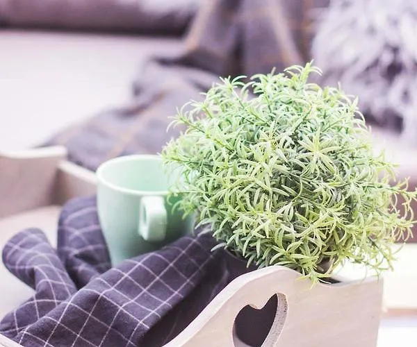 Appartement Premium Blanka Poronin