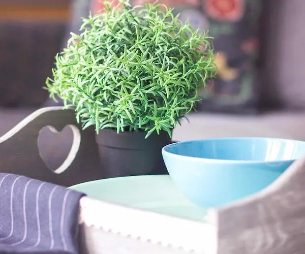 Appartement Premium Blanka Poronin