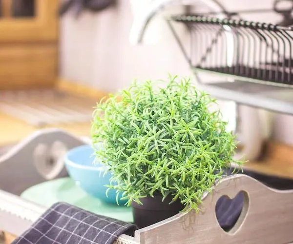 Premium Blanka Appartement *